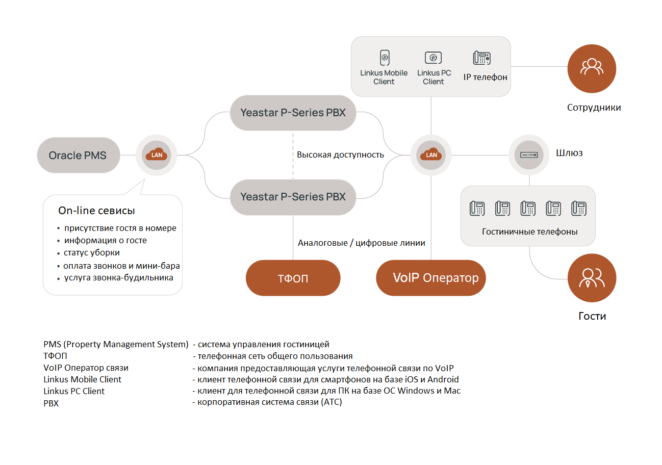 Лицензия серия P P550 PMS License
